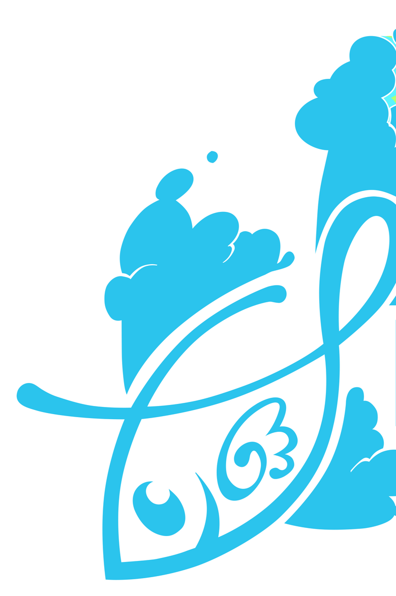 placeh Skyfish Studio Logo